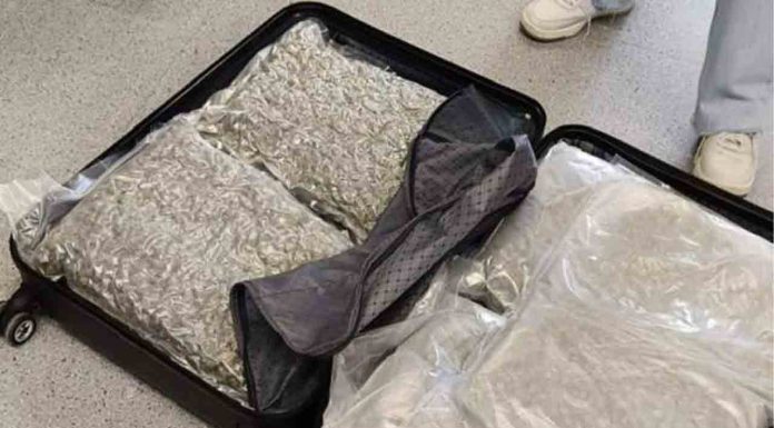 Detenido en la Estación de Norte con 24 kilos de marihuana Detenido en la Estación de Norte con 24 kilos de marihuana