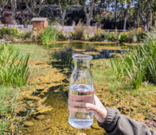 El Zoo apuesta por la reutilización de agua con un innovador sistema natural El Zoo estrena una planta piloto para regenerar agua de sus instalaciones