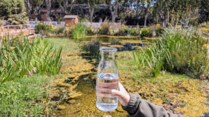 El Zoo estrena una planta piloto para regenerar agua de sus instalaciones