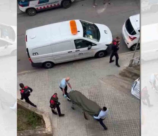Detenido un hombre relacionado con el cadáver encontrado en Ciutat Meridiana Encuentran un cadáver en una vivienda de Ciutat Meridiana