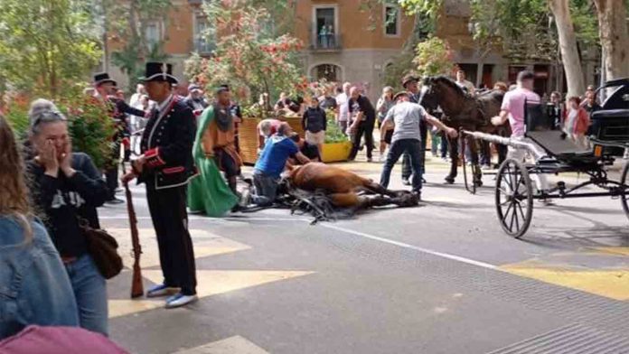 Exigen responsabilidades por la muerte de un caballo en los Tres Tombs