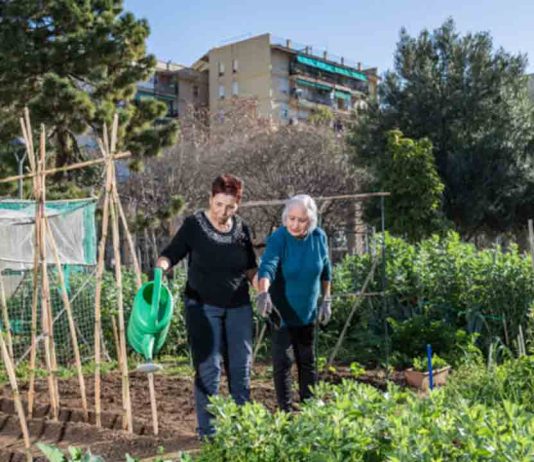 Huerto urbano de Sant Pau del Camp: cultivo, biodiversidad y educación ambiental en El Raval Huerto urbano de Sant Pau del Camp: cultivo, biodiversidad y educación ambiental en El Raval