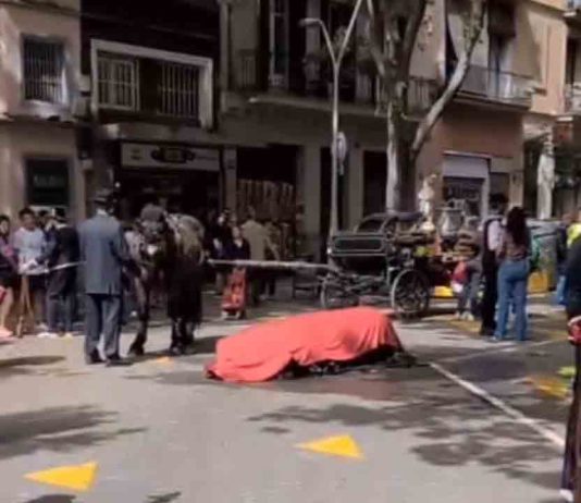 Muere un caballo durante la cabalgata de los Tres Tombs Muere un caballo durante la cabalgata de los Tres Tombs