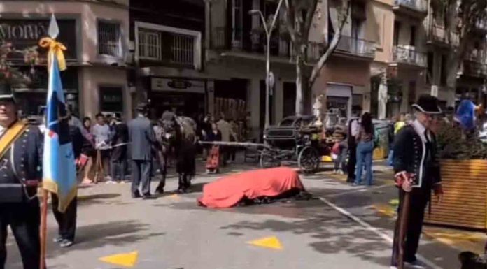 Muere un caballo durante la cabalgata de los Tres Tombs Muere un caballo durante la cabalgata de los Tres Tombs