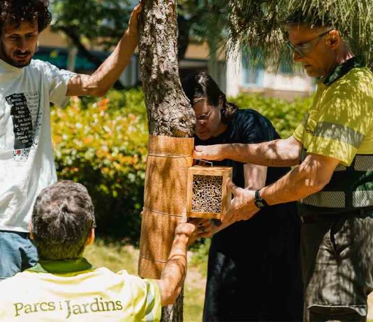 Se instalan un centenar de nidos para abejas silvestres en 25 parques de la ciudad Se instalan un centenar de nidos para abejas silvestres en 25 parques de la ciudad