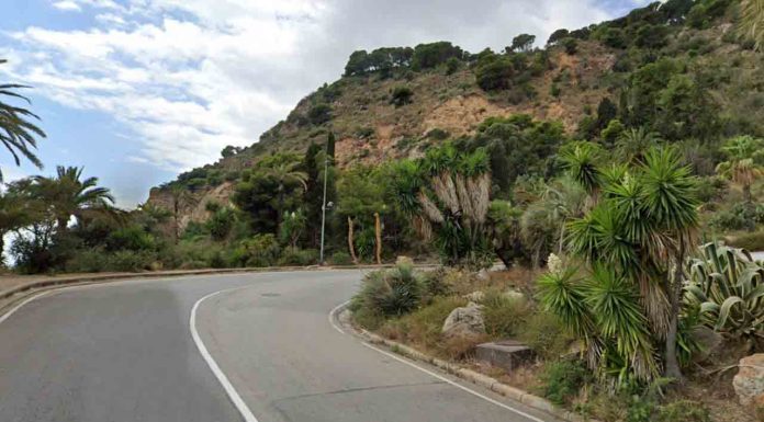 Detienen a un pirómano por prender fuego a unos matorrales en Montjuïc Detienen a un pirómano por prender fuego a unos matorrales en Montjuïc