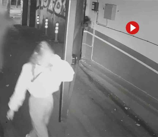 Dos detenidos que rociaban con gas pimienta a las victimas para robarles Dos detenidos que rociaban con gas pimienta a las victimas para robarles