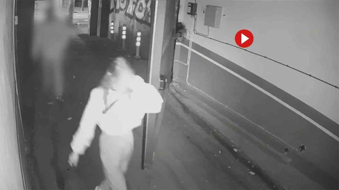 Dos detenidos que rociaban con gas pimienta a las victimas para robarles