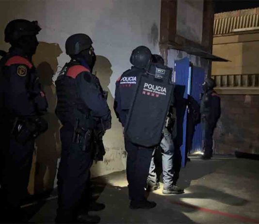 Más de 400 agentes de los Mossos desplegados contra el tráfico de marihuana Más de 400 agentes de los Mossos desplegados contra el tráfico de marihuana