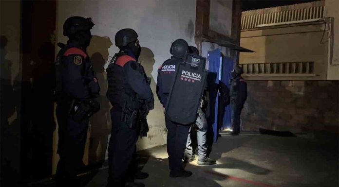 Más de 400 agentes de los Mossos desplegados contra el tráfico de marihuana Más de 400 agentes de los Mossos desplegados contra el tráfico de marihuana