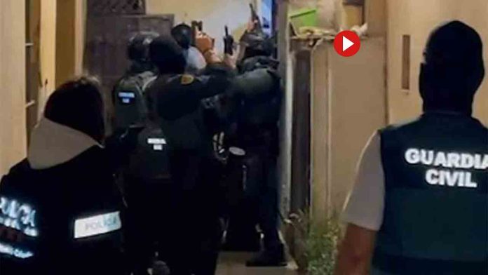 Robaban en viviendas y escondían los objetos en una zona boscosa de Hospitalet