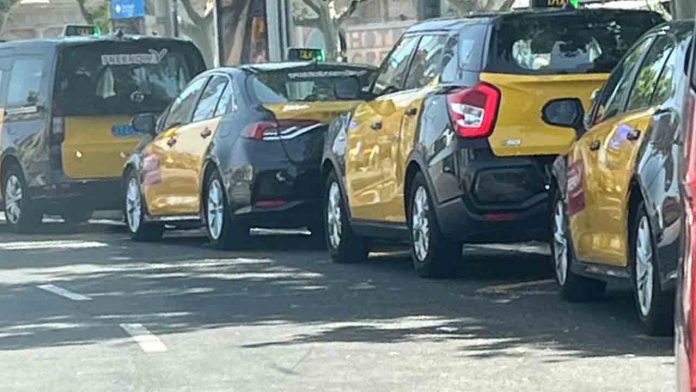 Denuncian que conductores vinculados a PakTaxi operan sin credencial