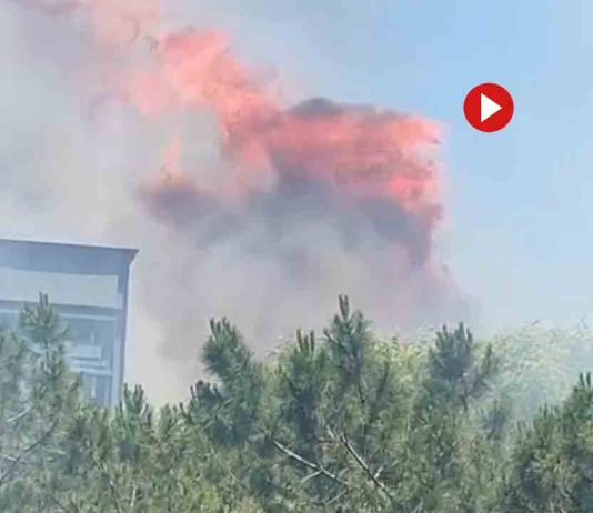 Un incendio en la Marina del Port provoca la alarma entre los vecinos Un incendio en la Marina del Port provoca la alarma entre los vecinos