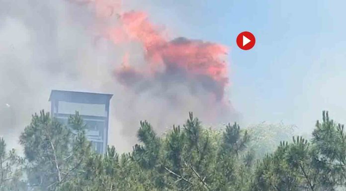 Un incendio en la Marina del Port provoca la alarma entre los vecinos Un incendio en la Marina del Port provoca la alarma entre los vecinos