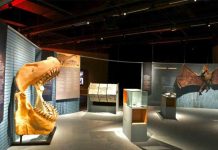 Cultura viva en Sant Martí: disfruta del verano entre museos, ciencia y diseño Cultura viva en Sant Martí: disfruta del verano entre museos, ciencia y diseño