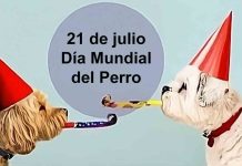 21 de julio: Una fecha para homenajear a nuestro mejor amigo 21 de julio: Una fecha para homenajear a nuestro mejor amigo