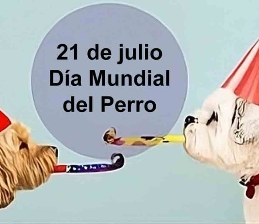 21 de julio: Una fecha para homenajear a nuestro mejor amigo 21 de julio: Una fecha para homenajear a nuestro mejor amigo