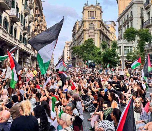 Cuarta semana de protestas en la plaza Sant Jaume contra el genocidio en Palestina Cuarta semana de protestas en la plaza Sant Jaume contra el genocidio en Palestina