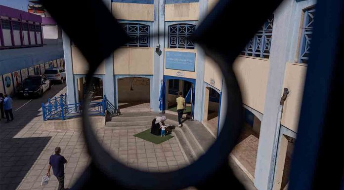 Gaza y Palestina serán el nuevo distrito 11 de Barcelona Gaza y Palestina serán el nuevo distrito 11 de Barcelona