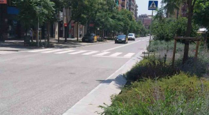 Reapertura de la calle Pi i Margall con pavimento más resistente Reapertura de la calle Pi i Margall con pavimento más resistente