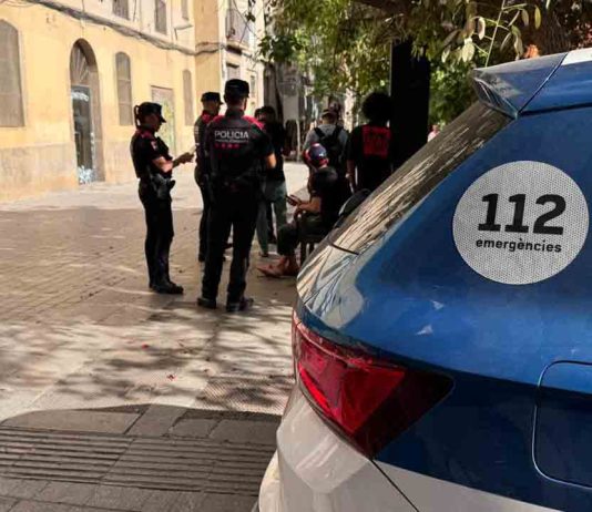 41 detenidos y más de 100 denuncias en la última operación del plan Kanpai 41 detenidos y más de 100 denuncias en la última operación del plan Kanpai