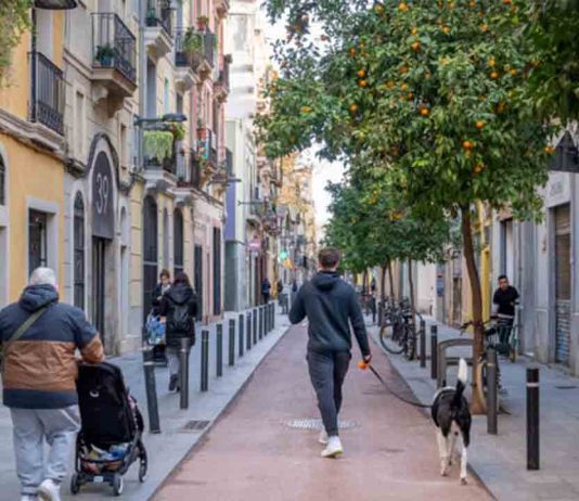Cambios en la circulación de Poblenou a partir de octubre Cambios en la circulación de Poblenou a partir de octubre