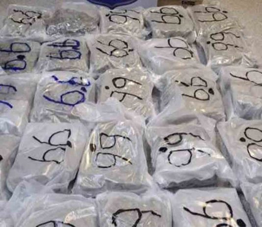 Hallazgo en Horta-Guinardó: casi 30 kilos de marihuana Hallazgo en Horta-Guinardó: casi 30 kilos de marihuana