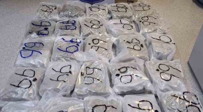 Hallazgo en Horta-Guinardó: casi 30 kilos de marihuana Hallazgo en Horta-Guinardó: casi 30 kilos de marihuana