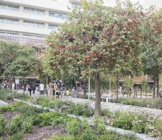 Inauguración de los nuevos Jardines de Sant Joan de Déu en Les Corts Inauguración de los nuevos Jardines de Sant Joan de Déu en Les Corts