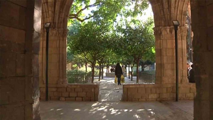 “Llegim al Jardí”: lectura y cultura en los jardines de Rubió i Lluch