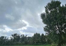 Tormentas intensas y bajada de temperaturas: alerta en Barcelona este domingo Tormentas intensas y bajada de temperaturas: alerta en Barcelona este domingo
