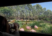 Bioscope y otros nuevos espacios transformarán el Zoo de Barcelona hacia 2030 Bioscope y otros nuevos espacios transformarán el Zoo de Barcelona hacia 2030