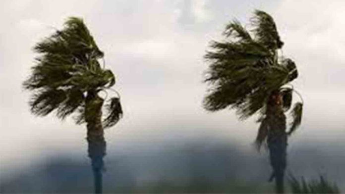 Cerrados todos los parques y jardines de Barcelona debido al fuerte viento