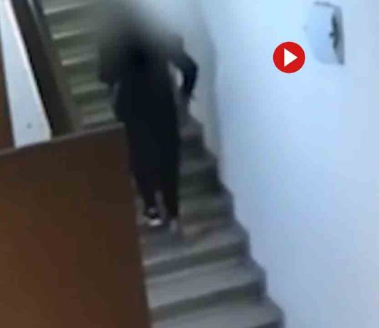 Detenida por robar a personal de limpieza y cometer fraudes con tarjetas sustraídas Detenida por robar a personal de limpieza y cometer fraudes con tarjetas sustraídas