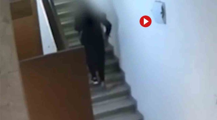 Detenida por robar a personal de limpieza y cometer fraudes con tarjetas sustraídas Detenida por robar a personal de limpieza y cometer fraudes con tarjetas sustraídas