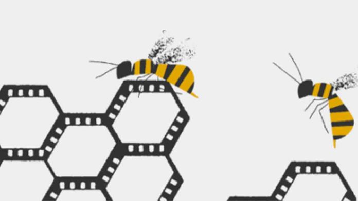 El Pantalla de otoño celebra su 15ª edición con cine sobre solidaridad y comunidad