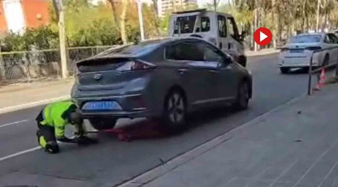 Élite Taxi impulsa la formación de Policías Locales en el AMB para reforzar el control a los VTC Élite Taxi impulsa la formación de Policías Locales en el AMB para reforzar el control a los VTC