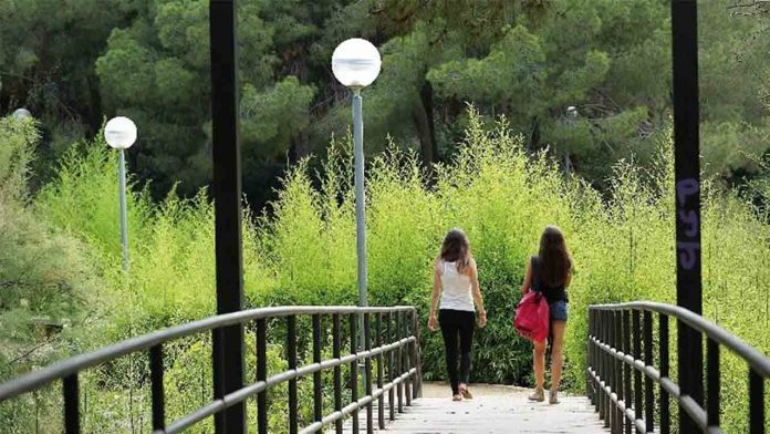 Sant Andreu impulsa nuevas acciones para recuperar el verde urbano este otoño Sant Andreu impulsa nuevas acciones para recuperar el verde urbano este otoño