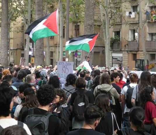 Seis detenidos y tres agentes heridos durante una protesta pro Palestina Seis detenidos y tres agentes heridos durante una protesta pro Palestina