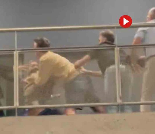 Una pelea en el palco del Espanyol entre aficionados y el expresidente Joan Collet Una pelea en el palco del Espanyol entre aficionados y el expresidente Joan Collet