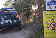 Acceso restringido al Parque de Collserola por los casos de peste porcina Acceso restringido al Parque de Collserola por los casos de peste porcina