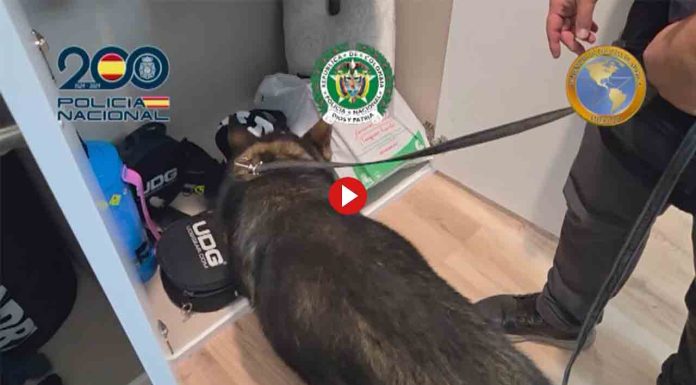 Desmantelada una célula del Tren de Aragua con detenciones en Barcelona Desmantelada una célula del Tren de Aragua con detenciones en Barcelona