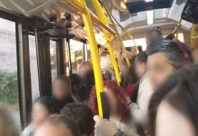 Detenidos 12 carteristas multirreincidentes en un macrodispositivo en buses Detenidos 12 carteristas multirreincidentes en un macrodispositivo en buses