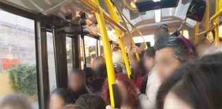 Detenidos 12 carteristas multirreincidentes en un macrodispositivo en buses Detenidos 12 carteristas multirreincidentes en un macrodispositivo en buses