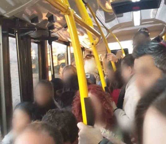 Detenidos 12 carteristas multirreincidentes en un macrodispositivo en buses Detenidos 12 carteristas multirreincidentes en un macrodispositivo en buses