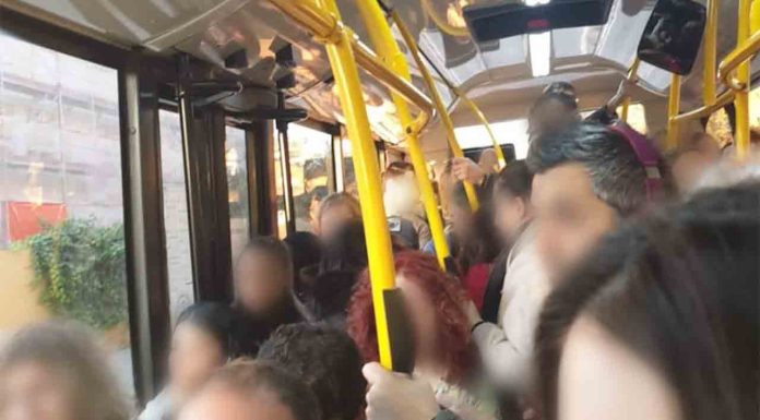 Detenidos 12 carteristas multirreincidentes en un macrodispositivo en buses Detenidos 12 carteristas multirreincidentes en un macrodispositivo en buses