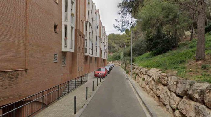 Un hombre apuñala a su madre después de ser dado de alta de un psiquiátrico Un hombre apuñala a su madre después de ser dado de alta de un psiquiátrico