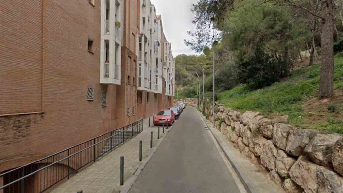 Un hombre apuñala a su madre después de ser dado de alta de un psiquiátrico