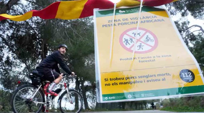 Ampliación del perímetro por el brote de peste porcina africana Ampliación del perímetro por el brote de peste porcina africana