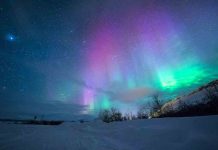 Auroras boreales: cómo planificar un viaje inolvidable al norte de Europa Auroras boreales: cómo planificar un viaje inolvidable al norte de Europa